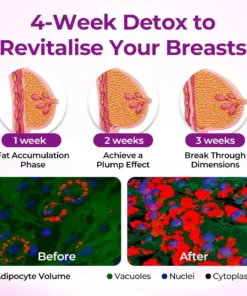 SEAGRIL® MaxCurve Sculpting & Volumizing Bust Oil