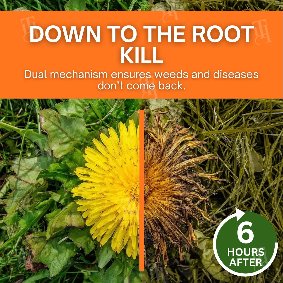 SEAGRIL® 2-in-1 Max Power Herbicide